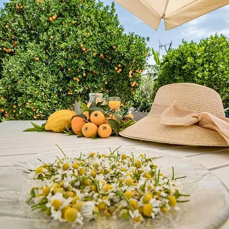 Olga's Organic Garden For A Couple! With Wifi & Ac La Canée