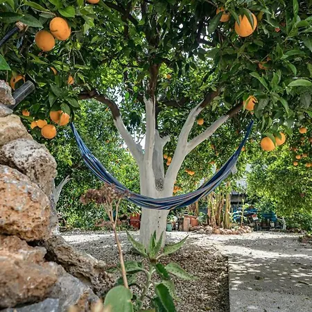 Olga's Organic Garden For A Couple! With Wifi & Ac