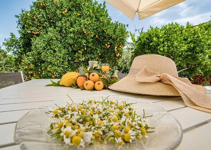 Olga's Organic Garden For A Couple! With Wifi & Ac Chania (Crete)