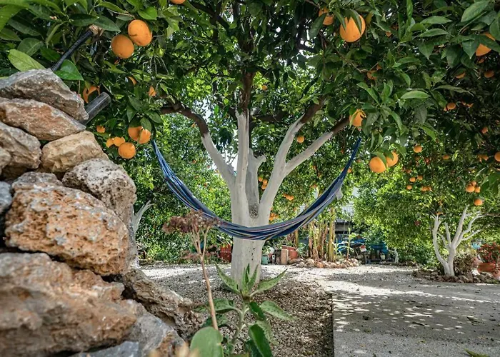 Olga's Organic Garden For A Couple! With Wifi & Ac