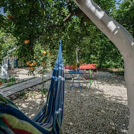 Olga's Organic Garden For A Couple! With Wifi & Ac Ханья (Крит)