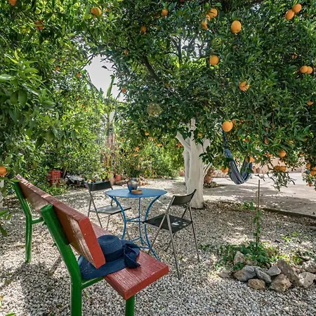 Olga's Organic Garden For A Couple! With Wifi & Ac Будинок відпочинку Ханья (Крит)